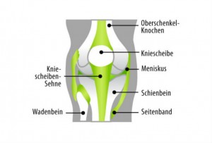 Baenderdehnung-589